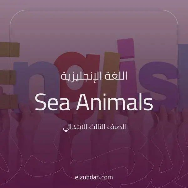 شرح درس Sea Animals مادة وي كان